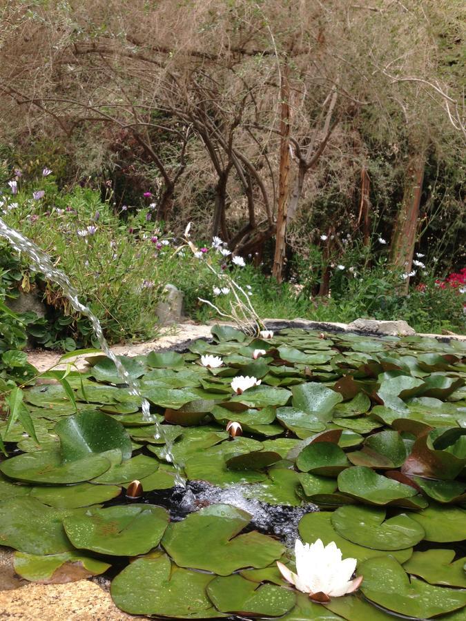 Cabanas El Albaricoque Cochiguaz El Sanjeado Екстер'єр фото