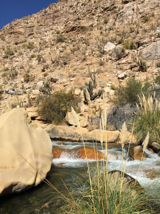 Cabanas El Albaricoque Cochiguaz El Sanjeado Екстер'єр фото
