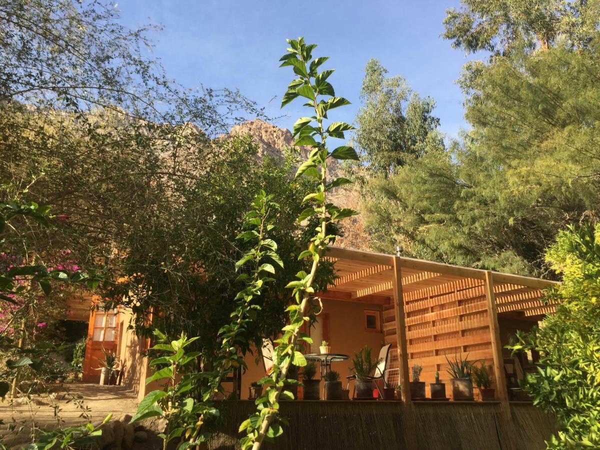 Cabanas El Albaricoque Cochiguaz El Sanjeado Екстер'єр фото